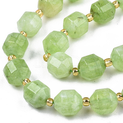 Natural Dolomite Beads Strands G-T131-85B-12-1