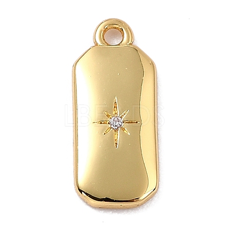 Brass Micro Pave Cubic Zirconia Charms LS-ZIRC-I054-12G-03-1