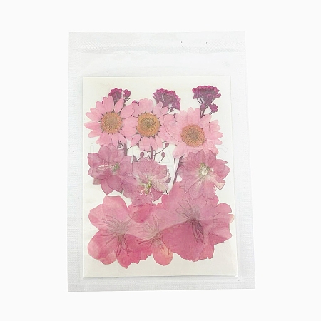 Pressed Dried Flowers DIY-B070-01A-1