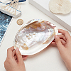 Natural Shell Ring Holder DJEW-WH0001-36-3