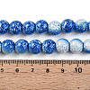 Transparent Baking Paint Glass Beads Strands DGLA-N009-10mm-07-5