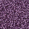 MIYUKI Delica Beads X-SEED-J020-DB2182-3