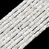 Natural Freshwater Shell Beads Strands X-SHEL-K006-72C-1