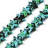 Spray Painted Synthetic Turquoise Beads Strands UNKW-T001-11B-4