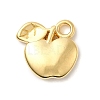 304 Stainless Steel Pendants STAS-B103-01E-G-1