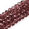 Glass Beads Strands EGLA-A034-T10mm-D13-1