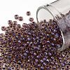 TOHO Round Seed Beads X-SEED-TR08-0927-1