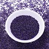 MIYUKI Delica Beads X-SEED-J020-DB0609-2