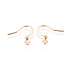 304 Stainless Steel Earring Hooks STAS-I120-22A-G01-2