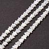 Natural Trochid Shell/Trochus Shell Beads SSHEL-O001-25B-02-2