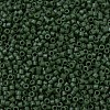 MIYUKI Delica Beads SEED-X0054-DB0797-3