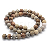 Natural Fossil Coral Beads Strands G-G763-12-14mm-2
