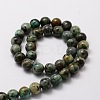 Natural African Turquoise(Jasper) Round Beads Strands X-G-E329-6mm-41-2