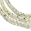 Natural Prehnite Beads Strands G-B107-E01-01-4