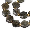 Natural Labradorite Beads Strands G-N368-01A-07-4