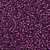 TOHO 8/0 Round Beads SEED-XTR08-2223-2
