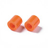 PE Fuse Beads DIY-R013-77-2