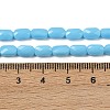 Opaque Glass Beads Strands GLAA-Z018-D20-4
