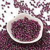 Transparent Inside Colours Glass Seed Beads SEED-H002-A-C207-2