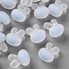 Transparent Acrylic Beads TACR-S152-12C-SS2113-1