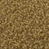 MIYUKI Delica Beads SEED-MY11-DB0771-3