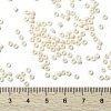 MIYUKI Round Rocailles Beads SEED-G008-RR0491-4
