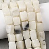 Natural White African Opal Beads Strands G-D098-D04-02-1