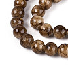 Natural Persian Jade Beads Strands X-G-A255-A02-04E-3