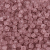 FGB Frosted Transparent Glass Seed Beads SEED-N013-03A-06-3