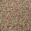 MIYUKI Delica Beads SEED-X0054-DB1731-3