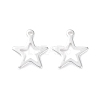 304 Stainless Steel Charms STAS-L234-095S-2