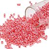 TOHO 8/0 Round Beads X-SEED-TR08-0906-1