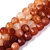 Natural Red Agate Beads Strands G-Q608-08A-04-2