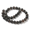 Natural Ice Obsidian Beads Strands G-P590-A03-12mm-02-5