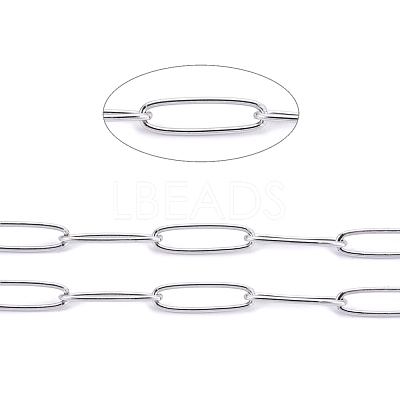Tarnish Resistant 304 Stainless Steel Paperclip Chains CHS-F010-01C-P-01-1