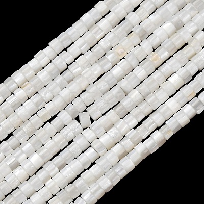 Natural Freshwater Shell Beads Strands X-SHEL-K006-72C-1
