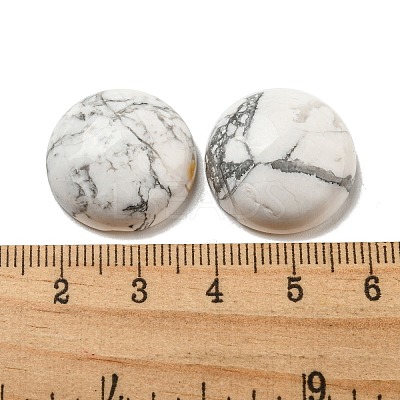 Natural Howlite Cabochons G-C115-02A-12-1