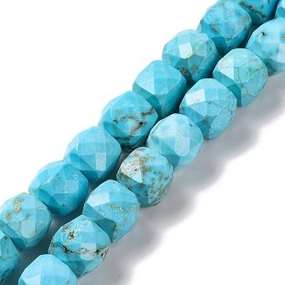 Natural Howlite Beads Strands G-G001-B03-05-1
