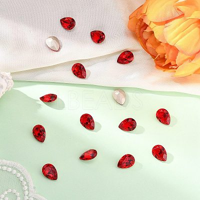 Preciosa&reg MAXIMA Crystal Fancy Stones X-PRC-FE14-90070-1