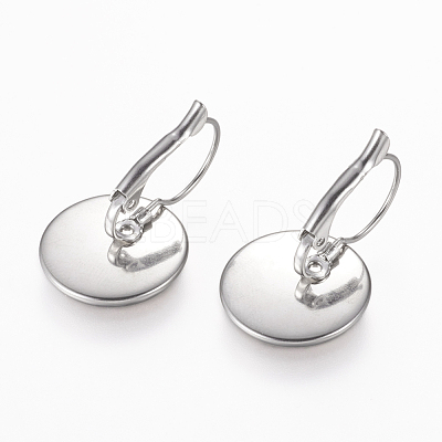 Tarnish Resistant 304 Stainless Steel Leverback Earring Findings STAS-L195-05P-1