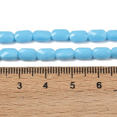Opaque Glass Beads Strands GLAA-Z018-D20-1