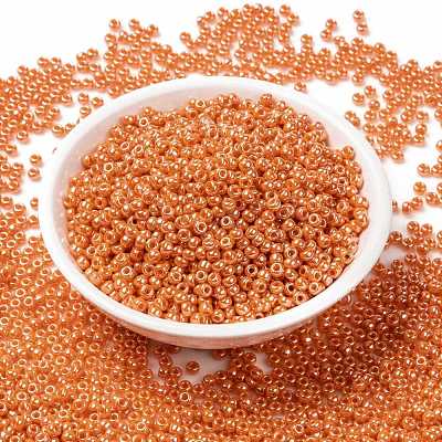 MIYUKI Round Rocailles Beads X-SEED-G008-RR0423-1