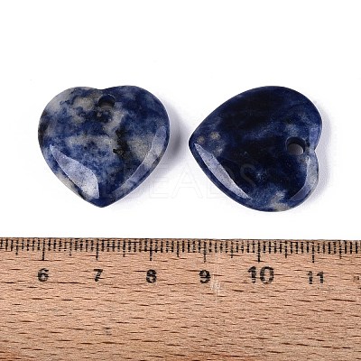 Natural Sodalite Pendants G-Q601-29B-1