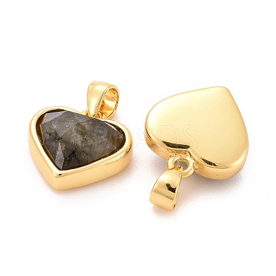 Natural Labradorite Charms G-E538-02G-02-1