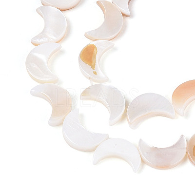 Natural Freshwater Shell Beads Strands SHEL-Q024-015B-01-1