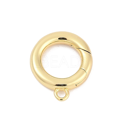 Brass Spring Gate Clasps KK-M311-25G-01-1