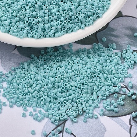 MIYUKI Delica Beads X-SEED-J020-DB1595-1