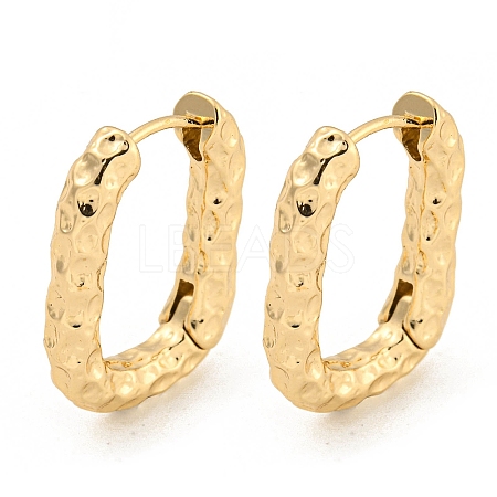 Alloy Hoop Earring EJEW-P269-20KCG-1