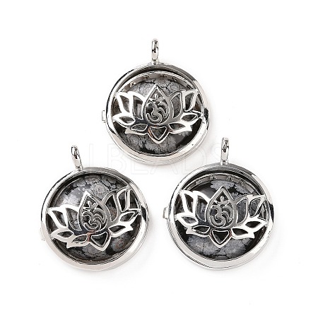 Natural Snowflake Obsidian Locket Pendants G-G982-01P-09-1