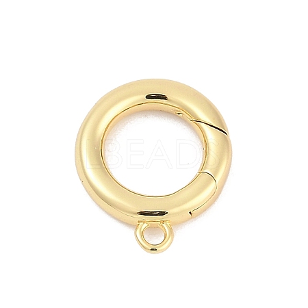Brass Spring Gate Clasps KK-M311-25G-01-1